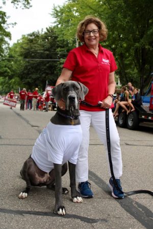 dog dog